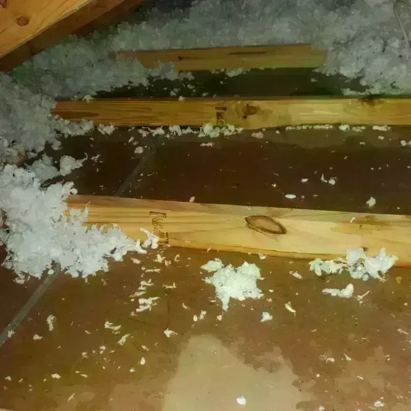 Attic Water Damage in Licking County, OH