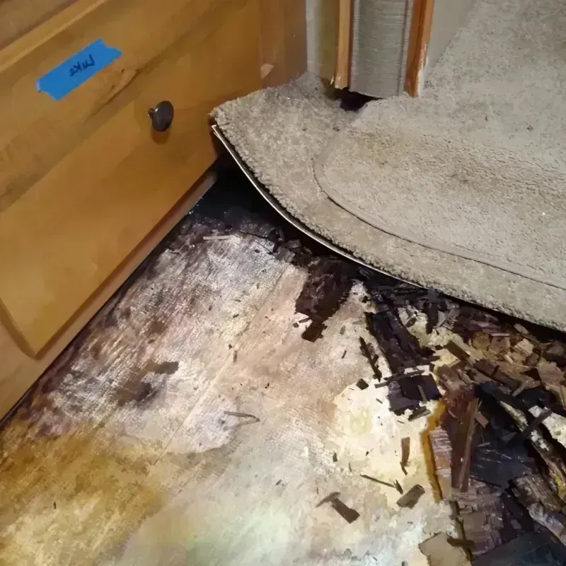 Wood Floor Water Damage in Licking County, OH